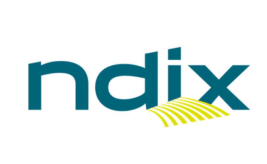 NDIX_logo_web